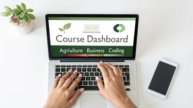 Courses That Don’t Require Maths at DUT